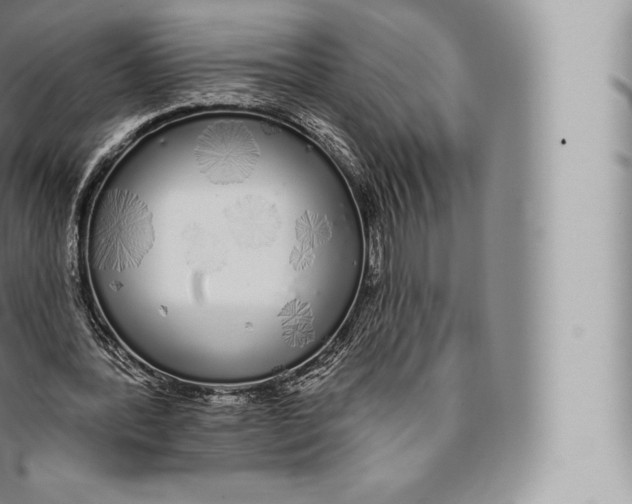 X0000096490388200802141751