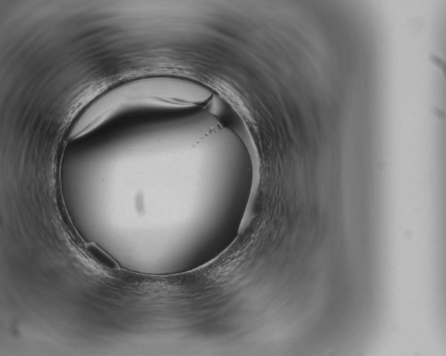 X0000096490389200802141751