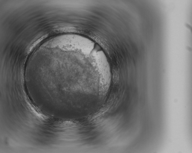 X0000096490390200802141751