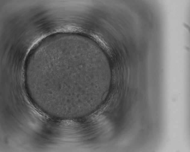 X0000096490392200802141751