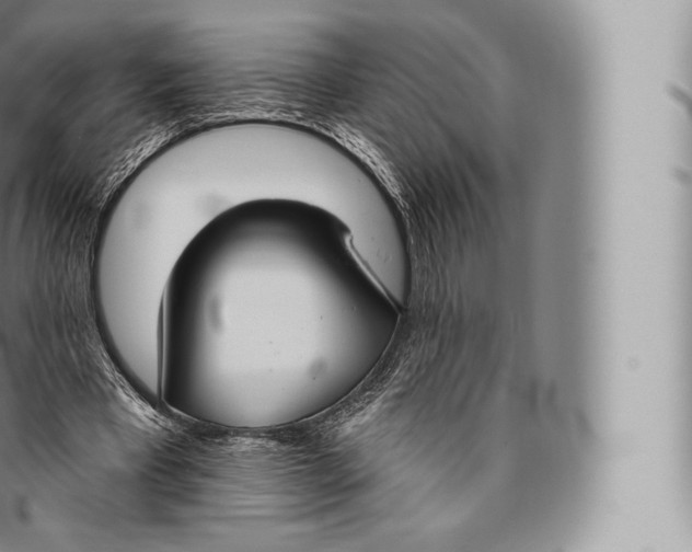 X0000096490393200802141751