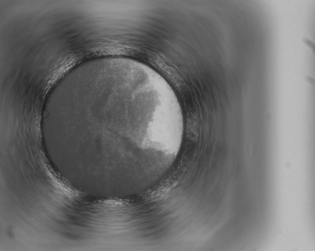 X0000096490394200802141751