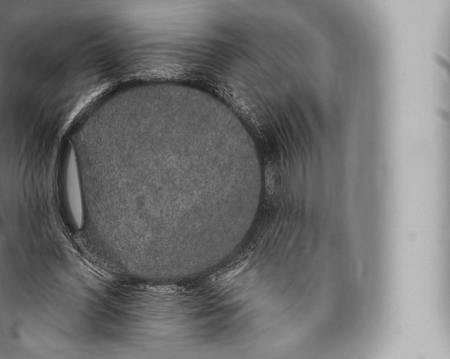 X0000096490396200802141751