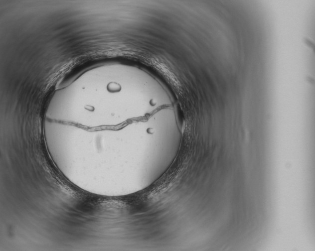 X0000096490397200802141751