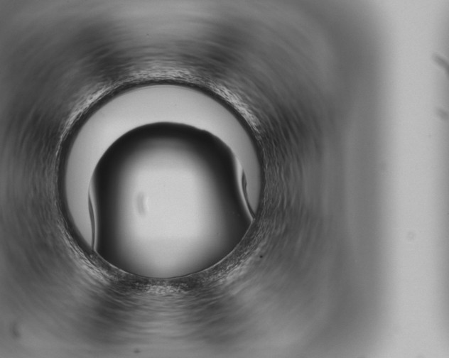 X0000096490399200802141750