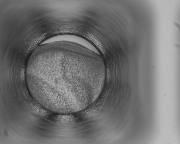 X0000096490401200802141750