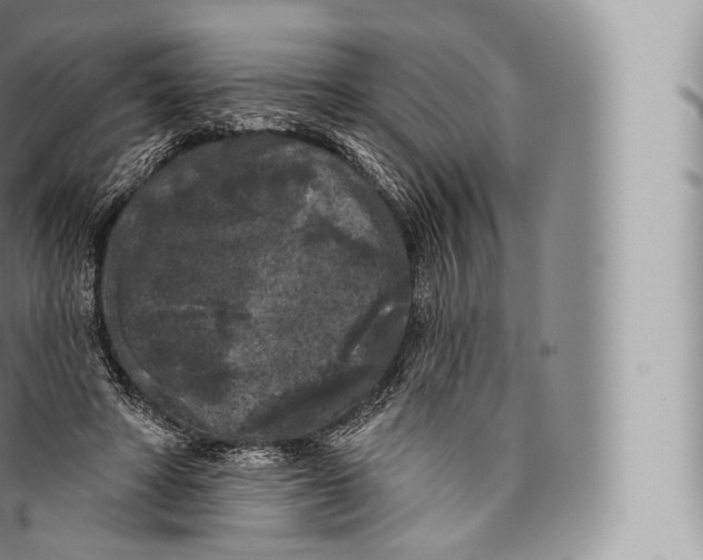 X0000096490402200802141750