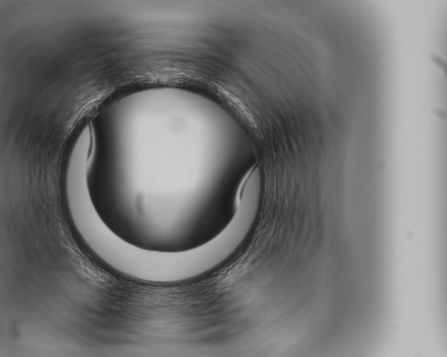 X0000096490403200802141750