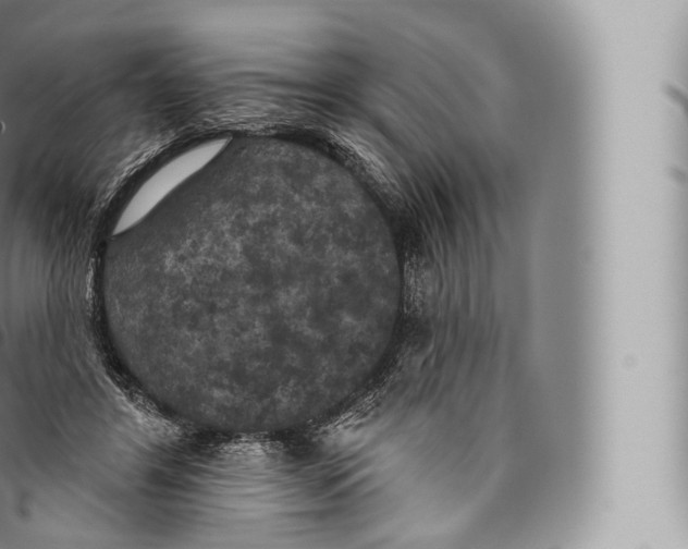 X0000096490404200802141750