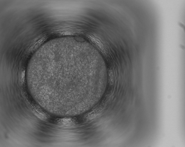 X0000096490406200802141750