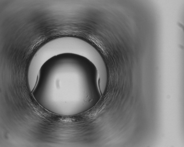 X0000096490407200802141750