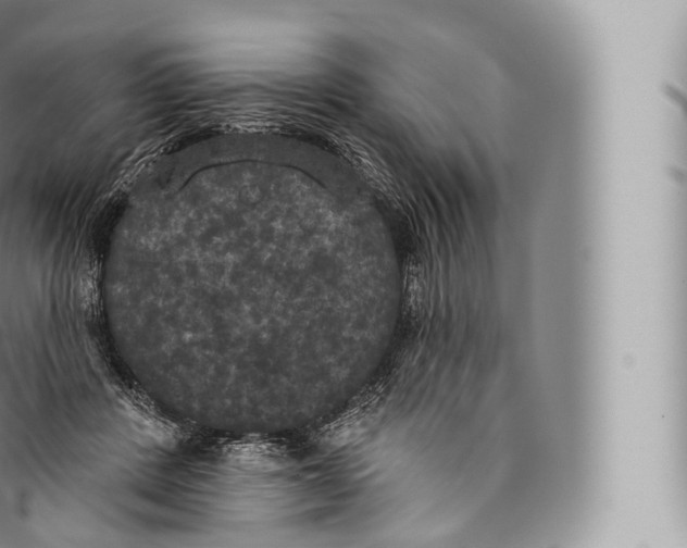 X0000096490408200802141750