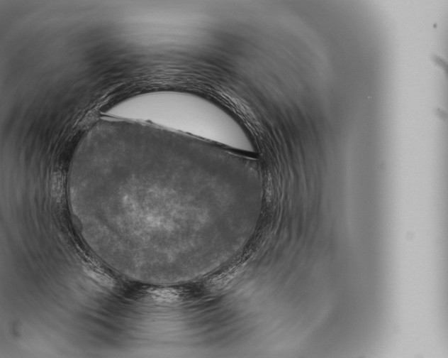 X0000096490409200802141750