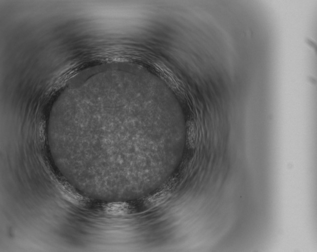 X0000096490410200802141750