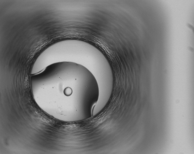 X0000096490411200802141750