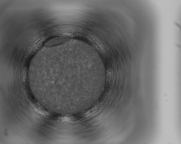 X0000096490412200802141750