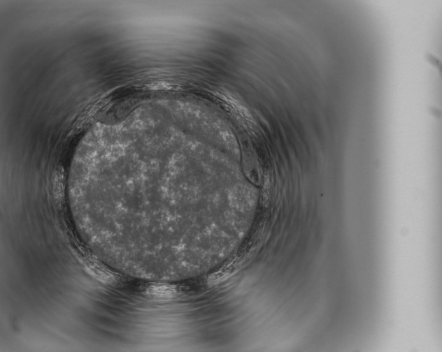 X0000096490413200802141750