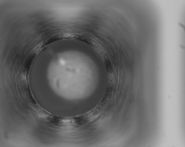 X0000096490415200802141750