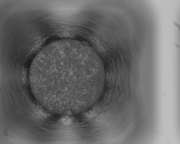 X0000096490416200802141750