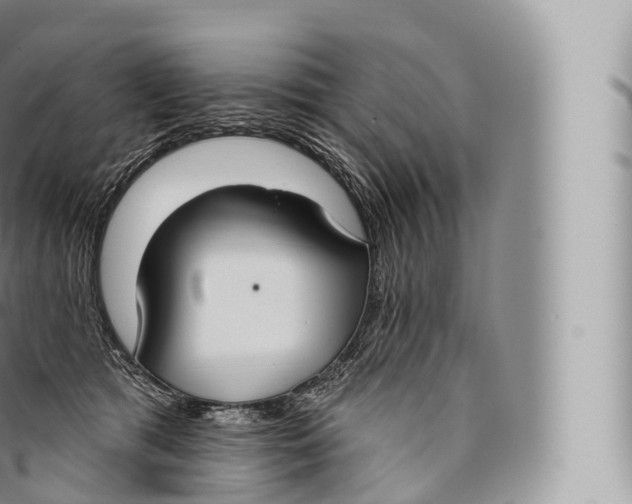 X0000096490417200802141750