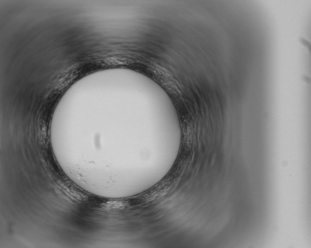 X0000096490418200802141750