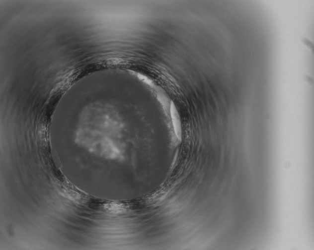 X0000096490419200802141750