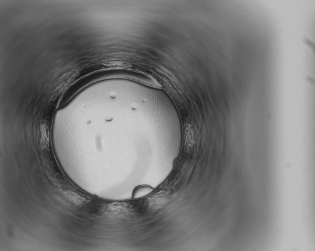 X0000096490420200802141750