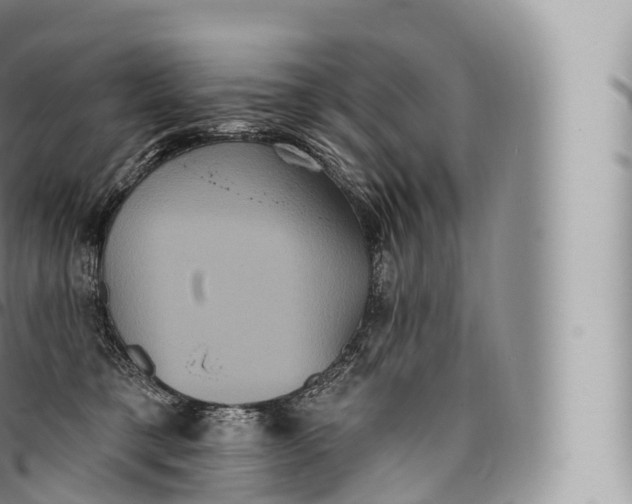 X0000096490421200802141750