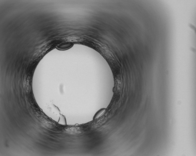 X0000096490422200802141750