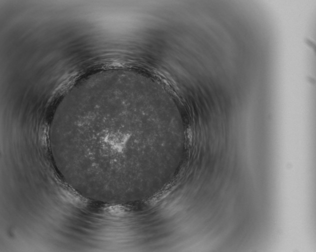 X0000096490423200802141750