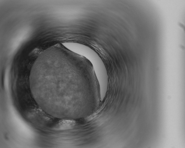 X0000096490429200802141750