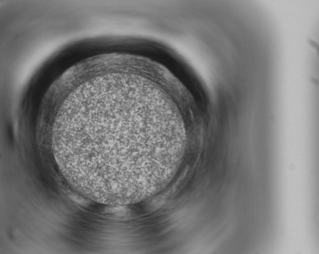 X0000096490431200802141750