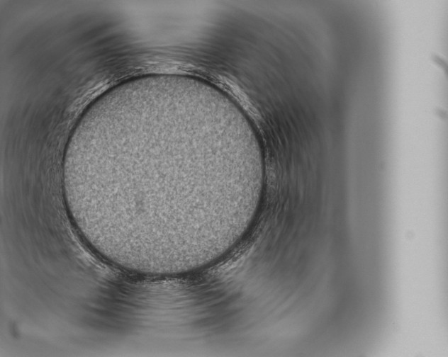 X0000096490433200802141749