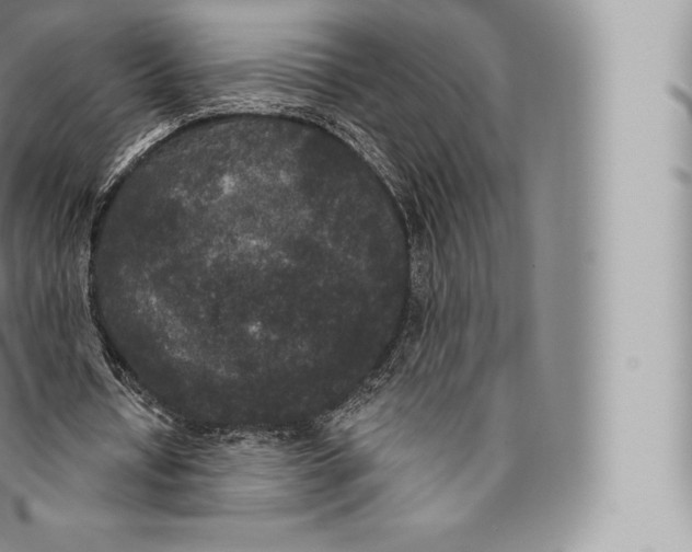 X0000096490434200802141749