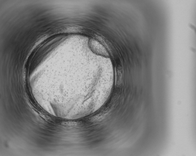 X0000096490435200802141749