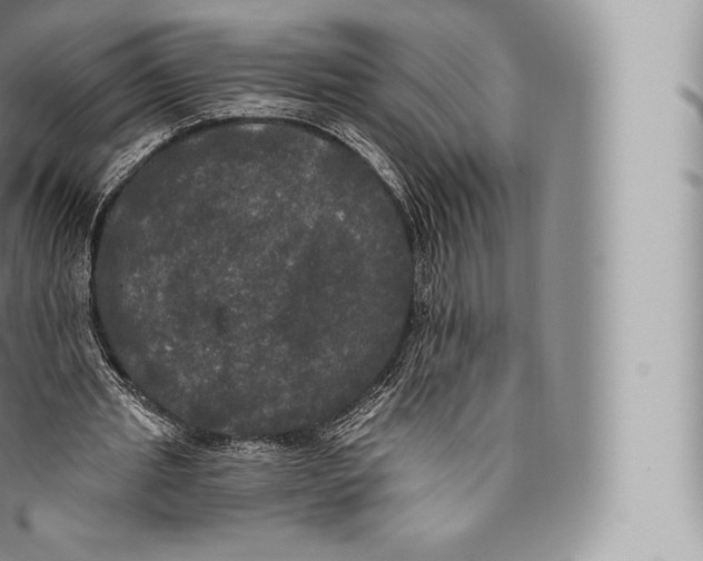 X0000096490437200802141749