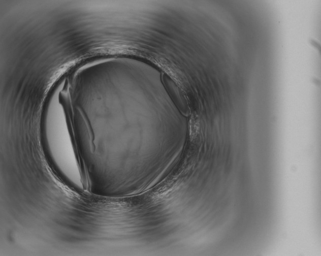 X0000096490438200802141749