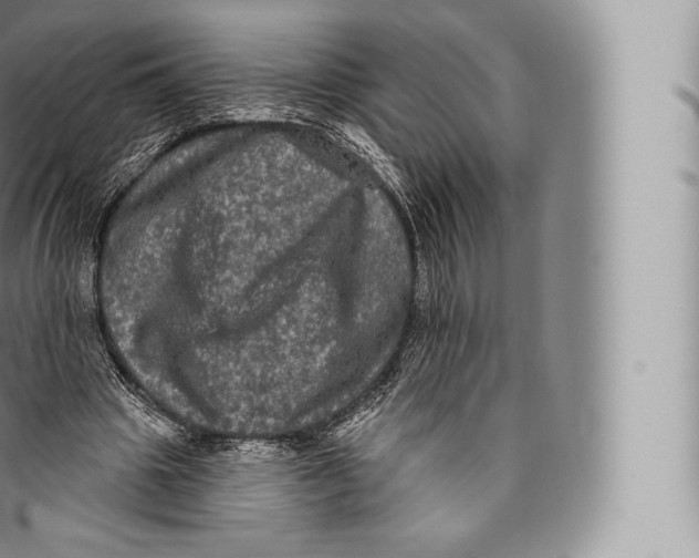 X0000096490441200802141749