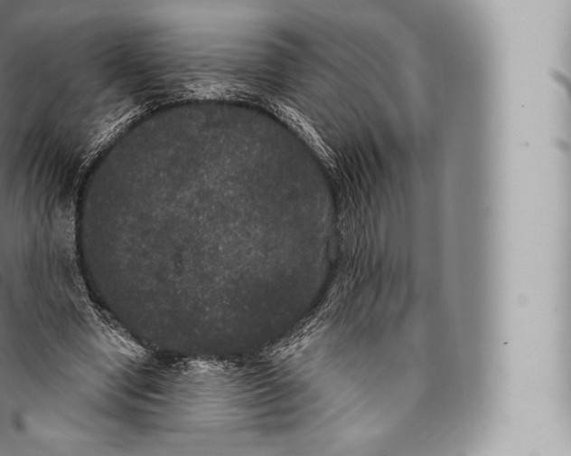 X0000096490442200802141750