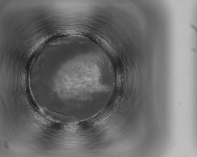 X0000096490444200802141750