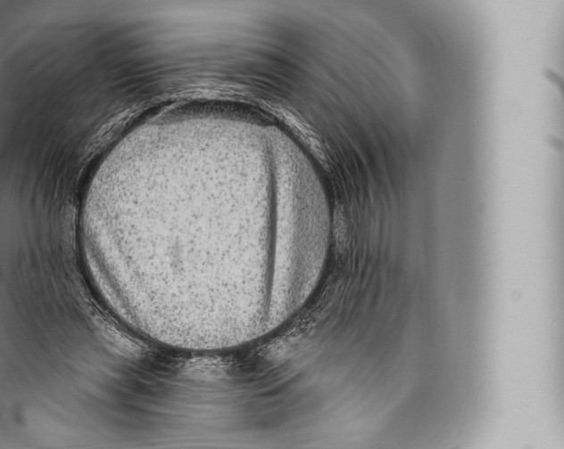 X0000096490445200802141750