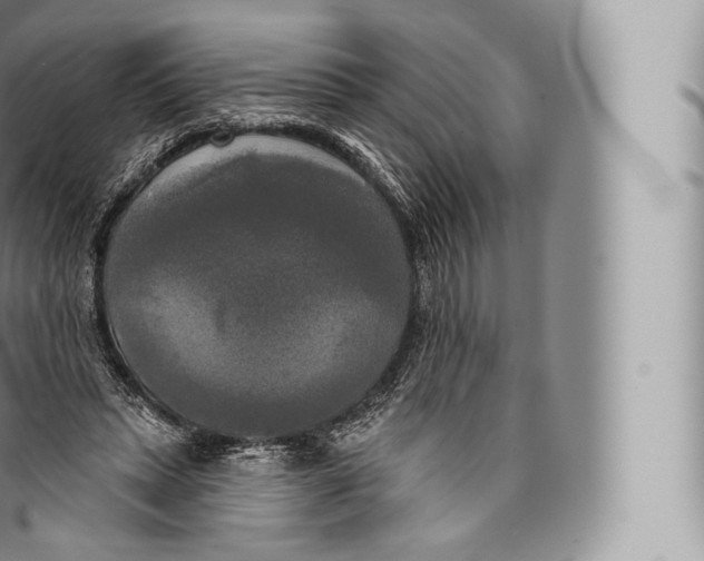 X0000096490447200802141750