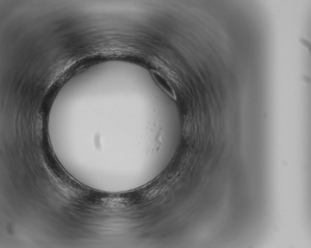 X0000096490448200802141750