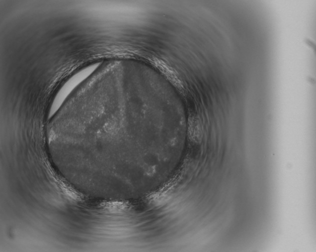 X0000096490449200802141750