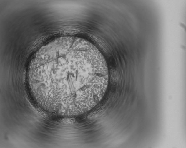 X0000096490451200802141750