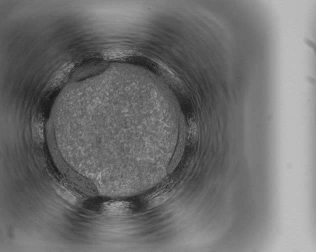 X0000096490452200802141750