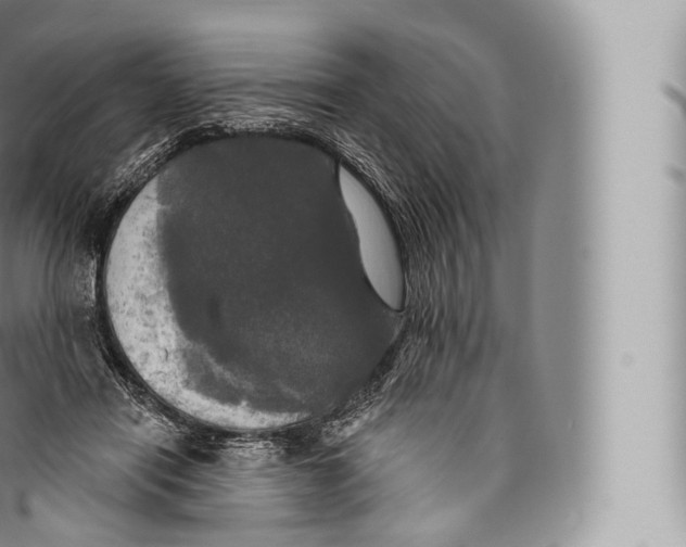 X0000096490454200802141750