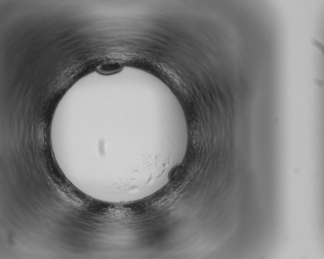 X0000096490455200802141750