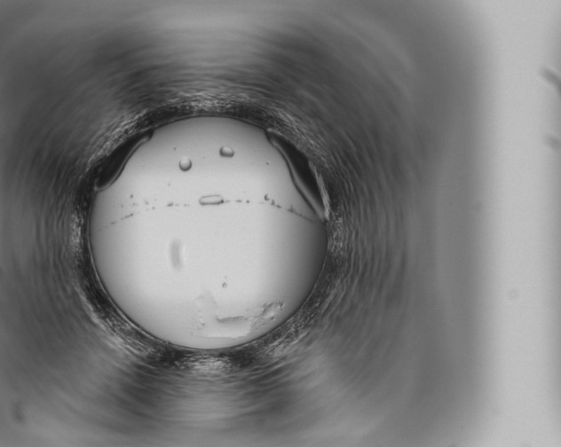 X0000096490456200802141750