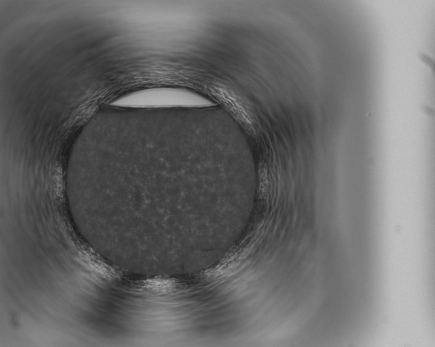 X0000096490457200802141750